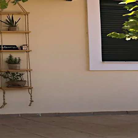 Apartment Oasis *