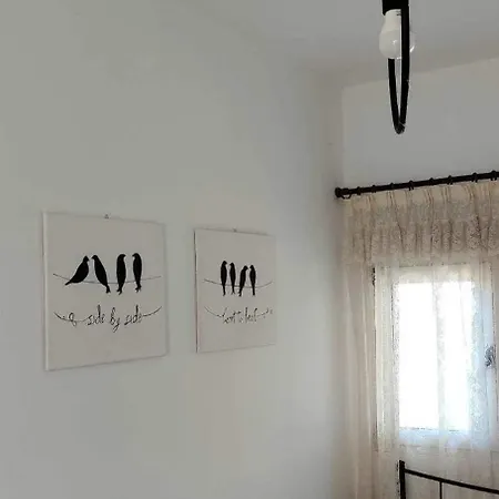 Oasis *